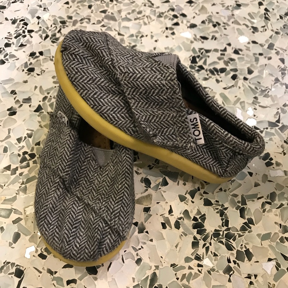 Grey yellow toms